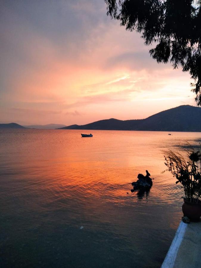 Vitamin Sea Studio Panagia  Luaran gambar